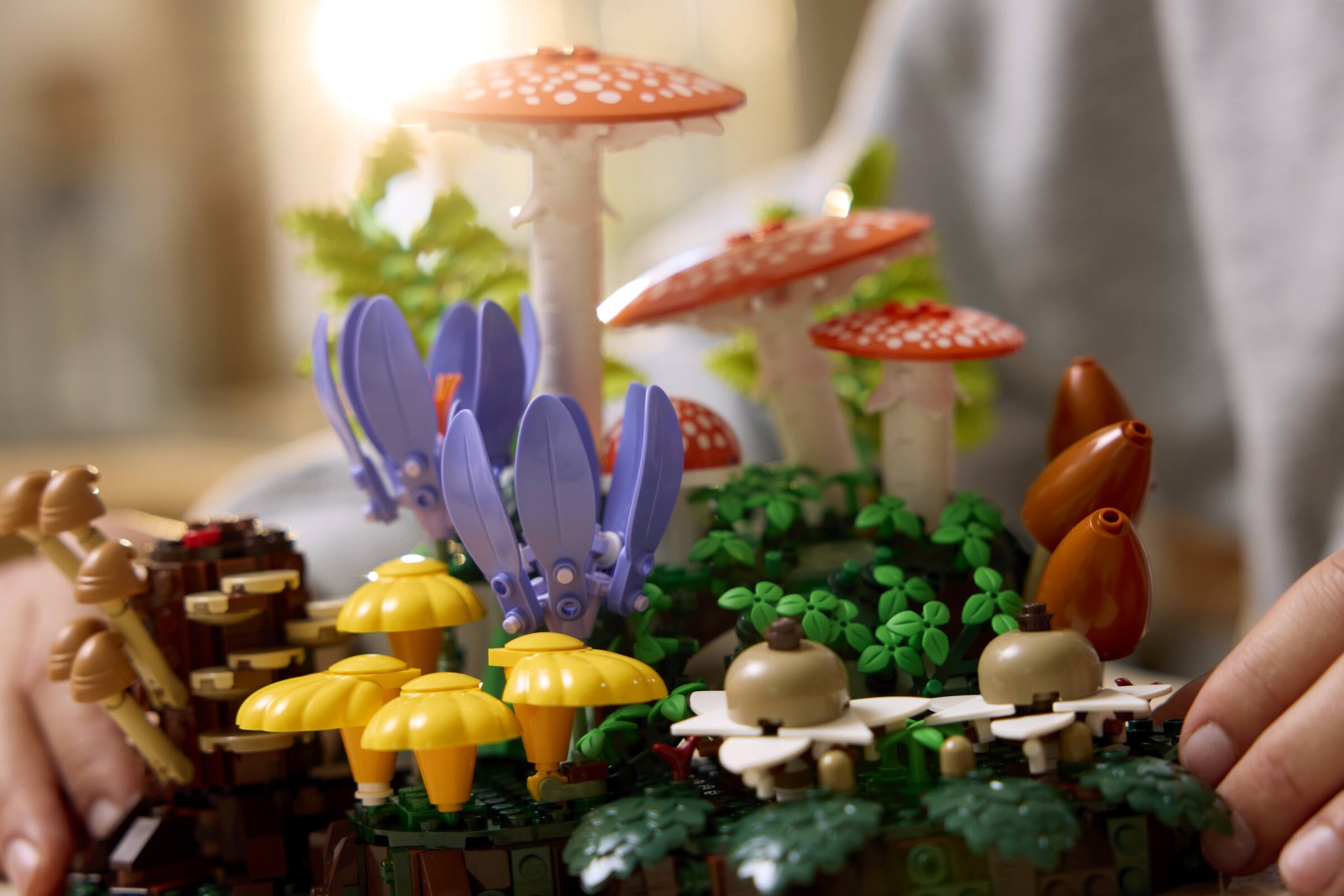 LEGO 11505 Botanicals Grzyby leśne | zklocków.pl