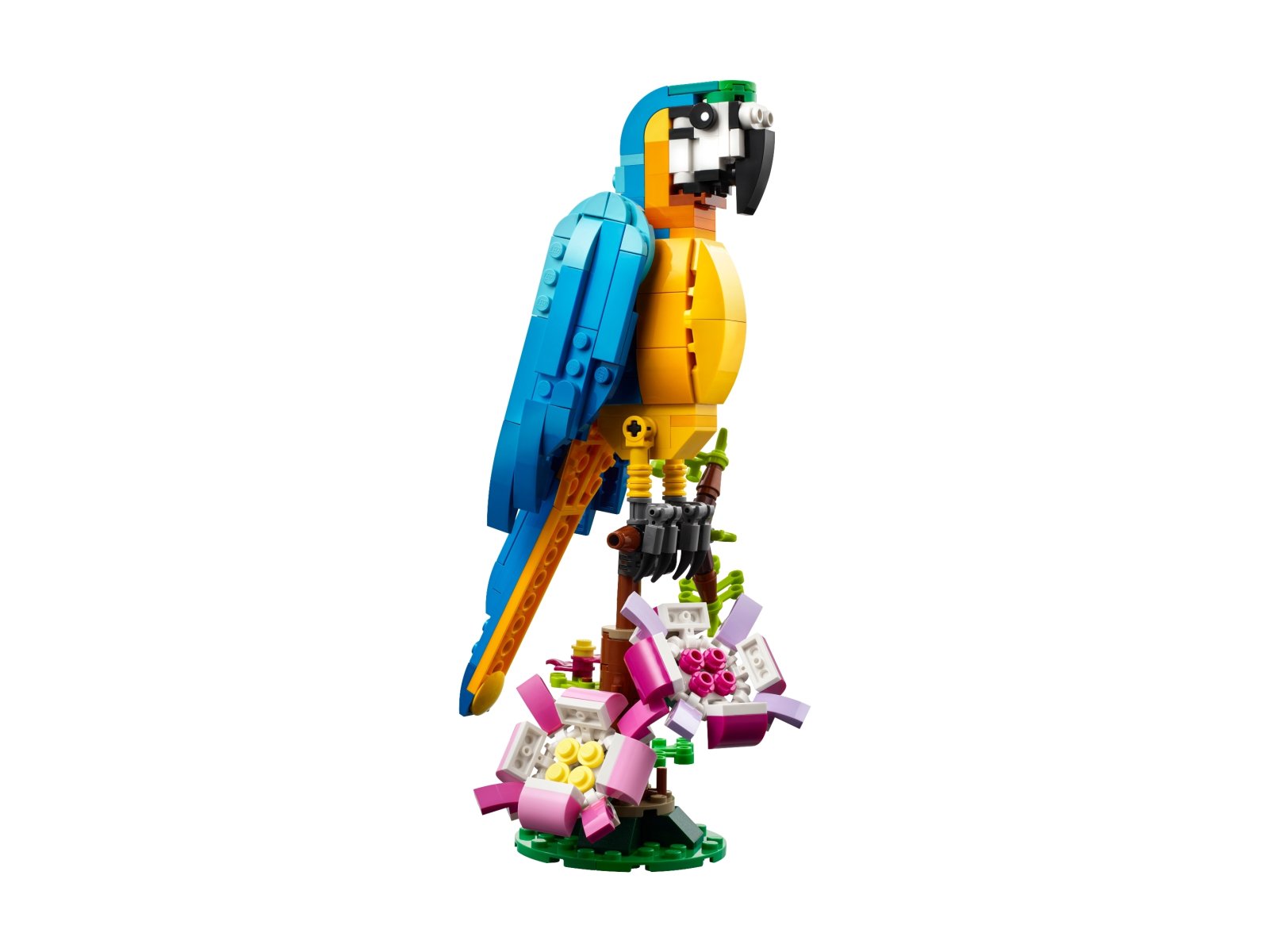 LEGO Creator 3 w 1 Egzotyczna papuga 31136