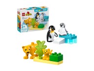 LEGO Duplo 10442 Rodziny dzikich zwierząt: pingwiny i lwy