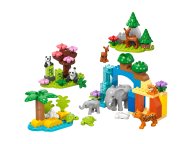 LEGO Duplo Rodziny dzikich zwierząt 3 w 1 10446