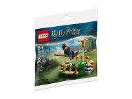 LEGO Harry Potter Trening quidditcha™ 30651