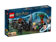 LEGO 76400 Testrale i kareta z Hogwartu™