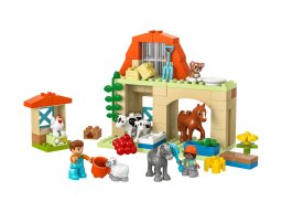 LEGO 10416 Duplo Opieka nad zwierzętami na farmie