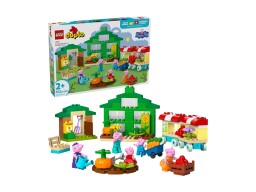 LEGO 10461 Ogród i szklarnia Dziadka Świnki