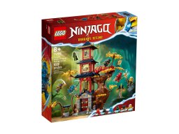 LEGO Ninjago Świątynia smoczej energii 71795
