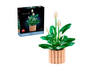 LEGO Botanicals Skrzydłokwiat 11504