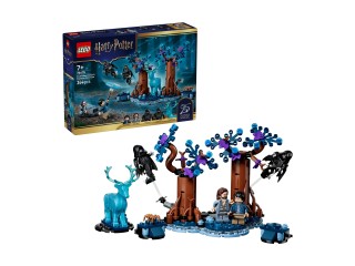 LEGO 76475 Harry Potter Zakazany Las: Expecto Patronum