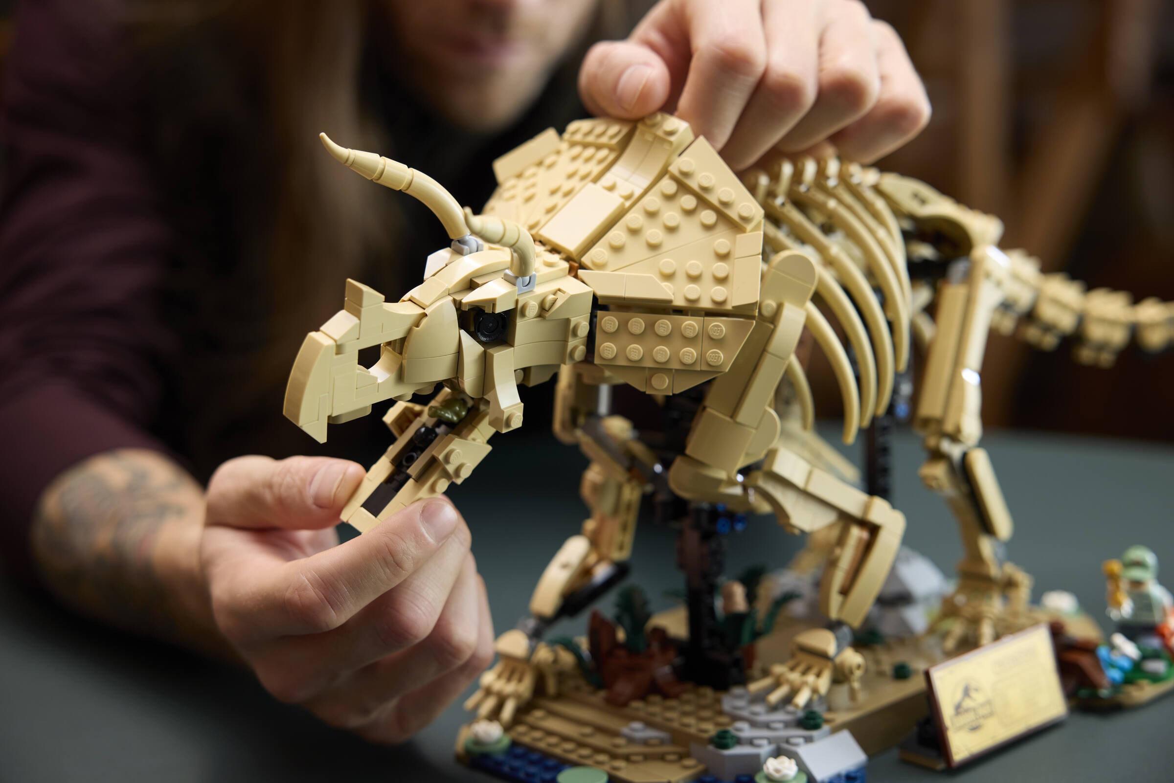 szkielety-dinozaurow-z-klockow-lego-odkrywaj