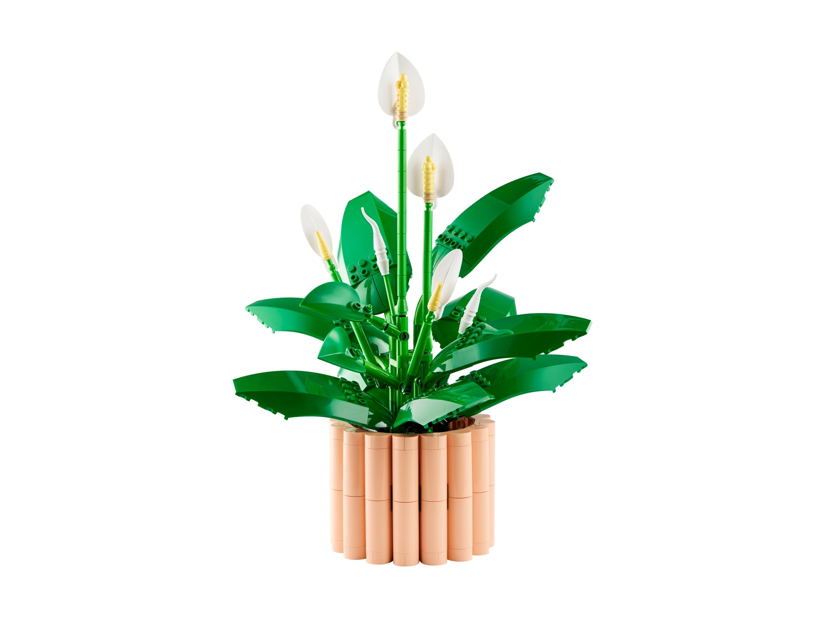 LEGO Botanicals 11504 Skrzydłokwiat