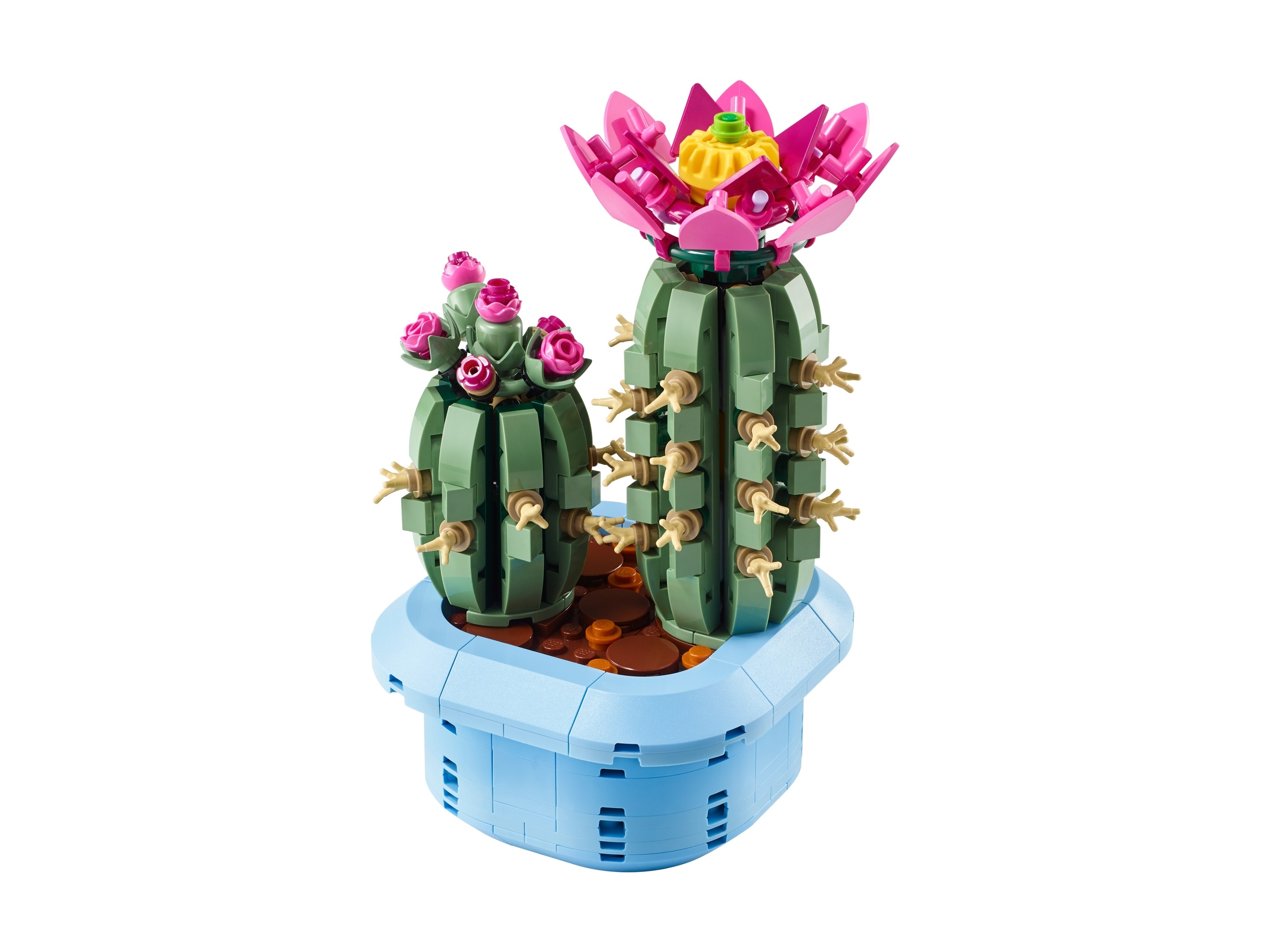 LEGO Botanicals 11509 Kwitnący kaktus