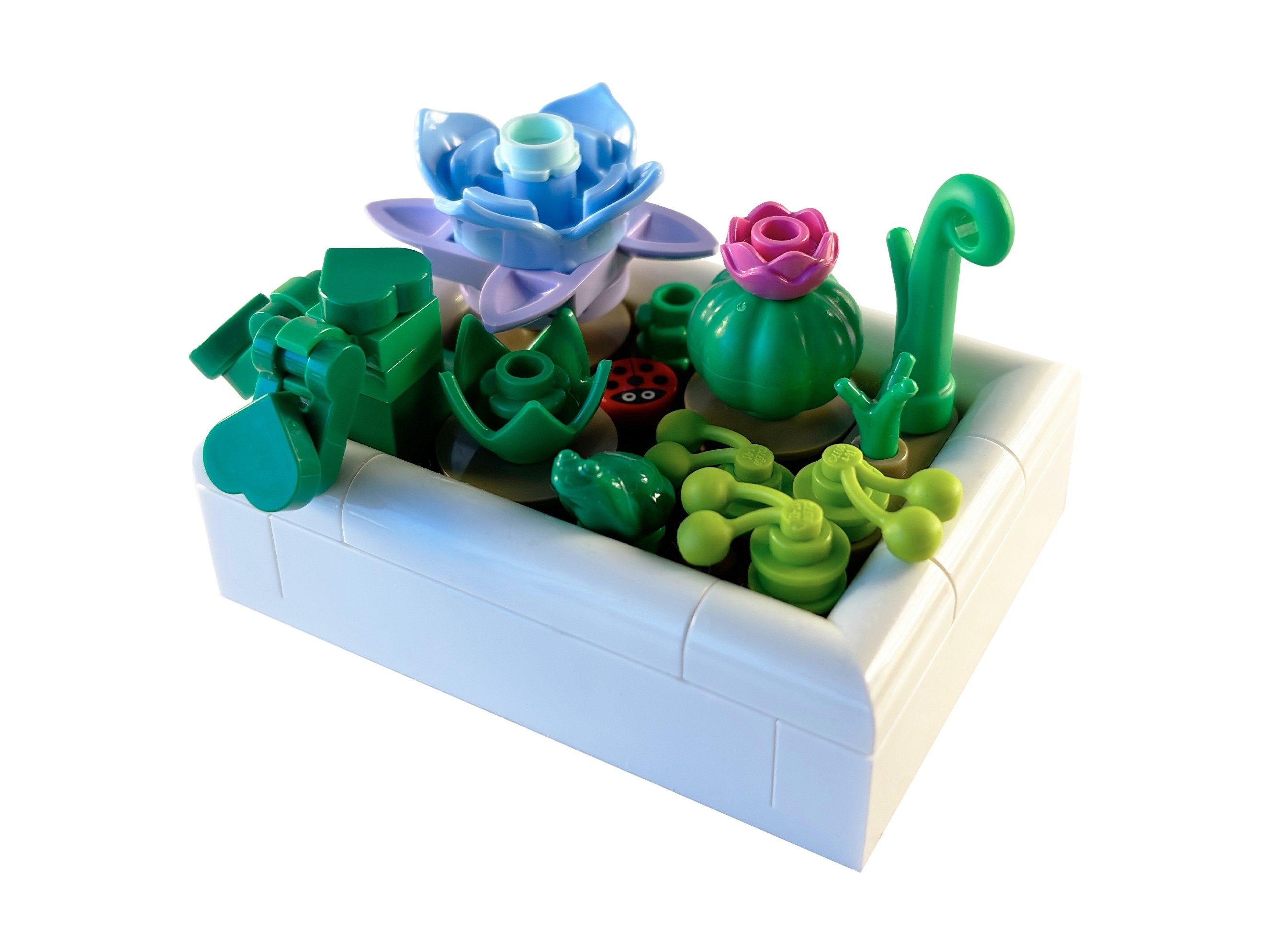 LEGO Botanicals Mały ogród pustynny 5010093