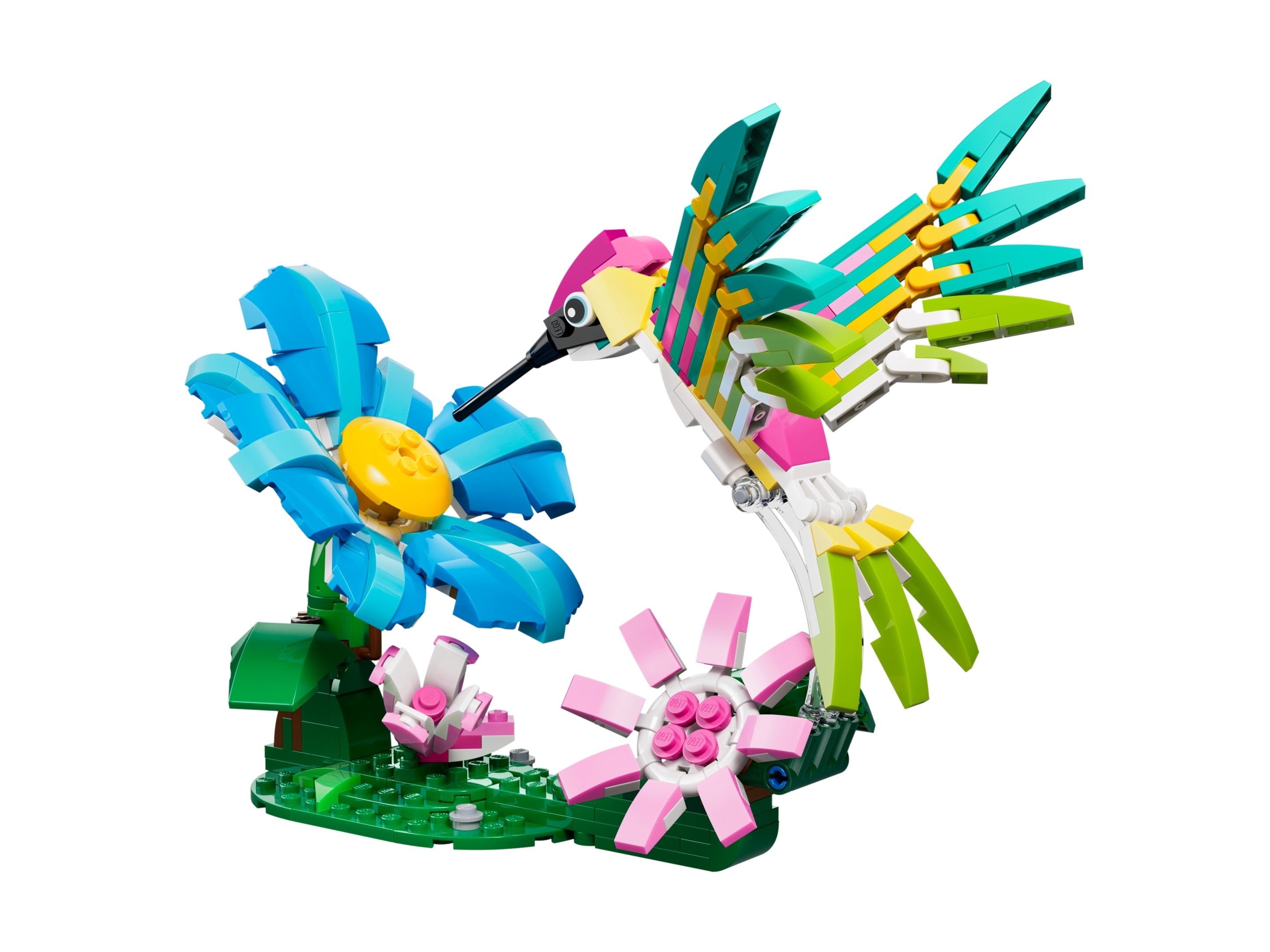 LEGO 31384 Dzikie zwierzęta: kolorowy koliber