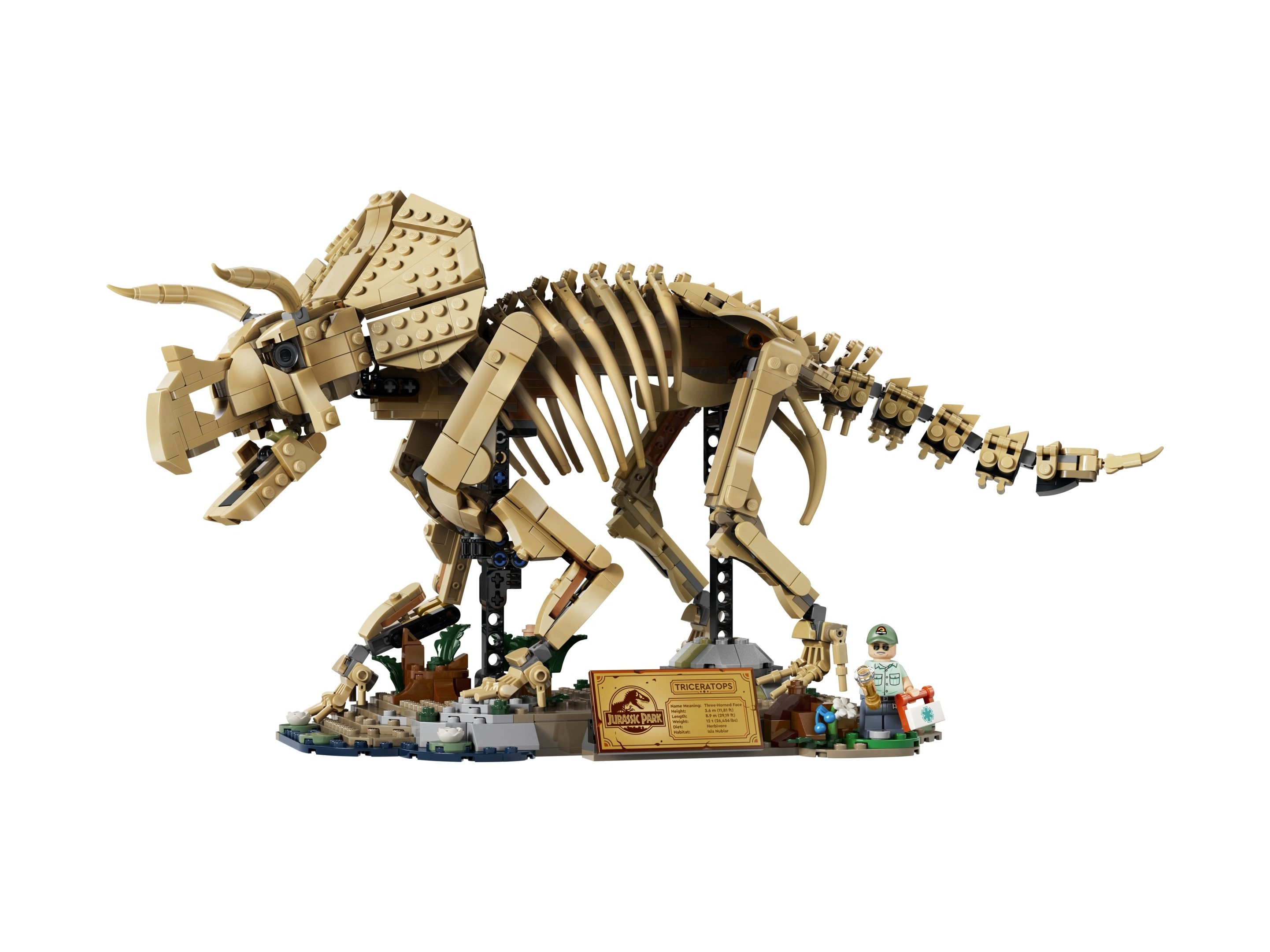 LEGO 77985 Szkielety dinozaurów: triceratops